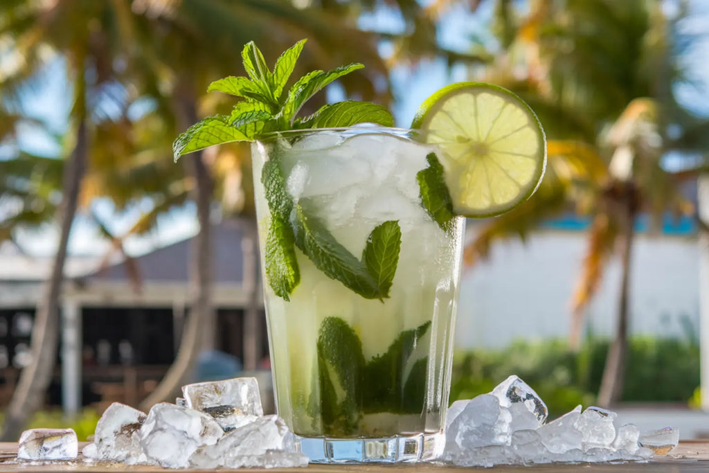 Mexican Mojito Recipe